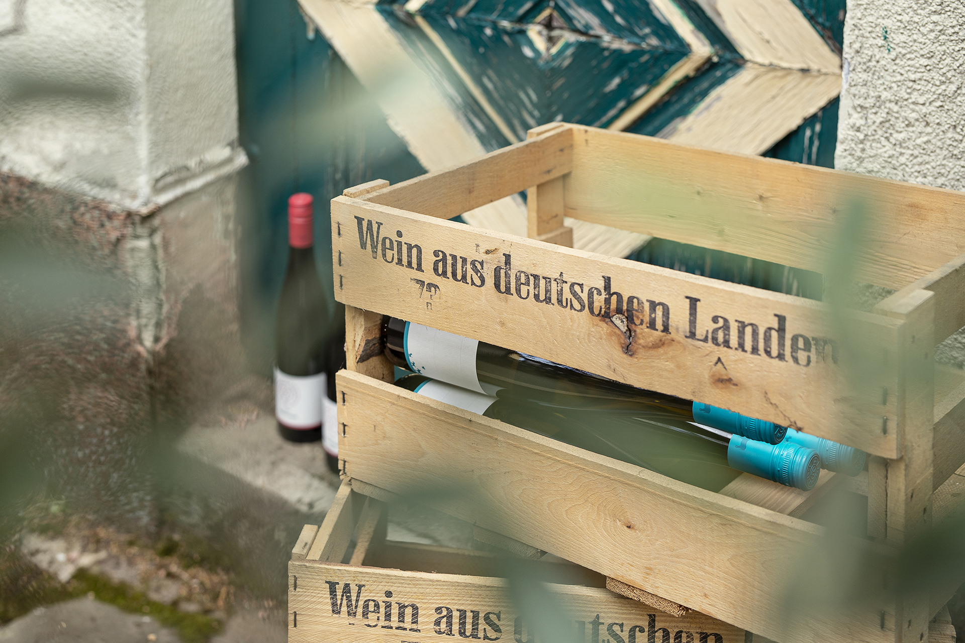 Weingut Frederik Janus - Reportage